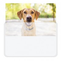 Magnetic Photo Pockets