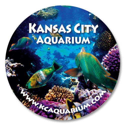 Circle & Oval Magnets