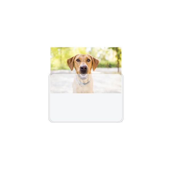 3.5" x 5" Magnetic Photo Pockets