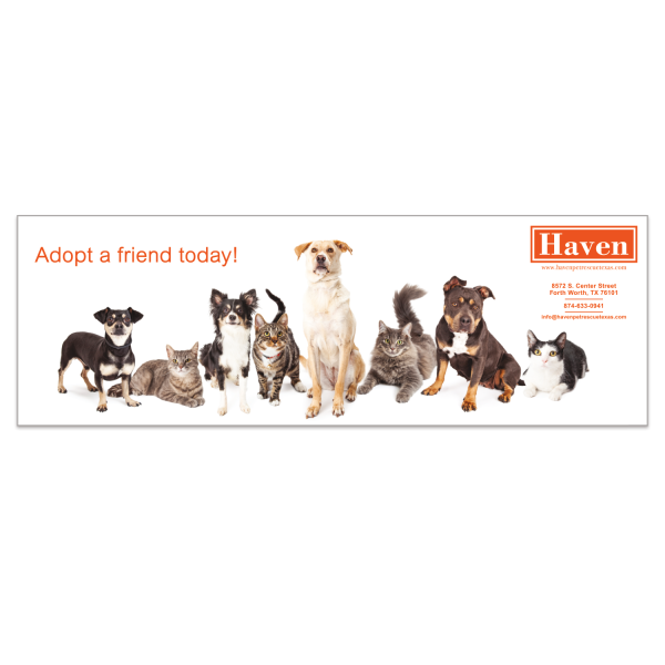 3" x 9" Rectangle Bumper Sticker Car Magnet - Full Color
