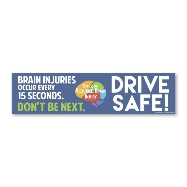3" x 12" Personalized Bumper Sticker Car Magnet - Full Color 
