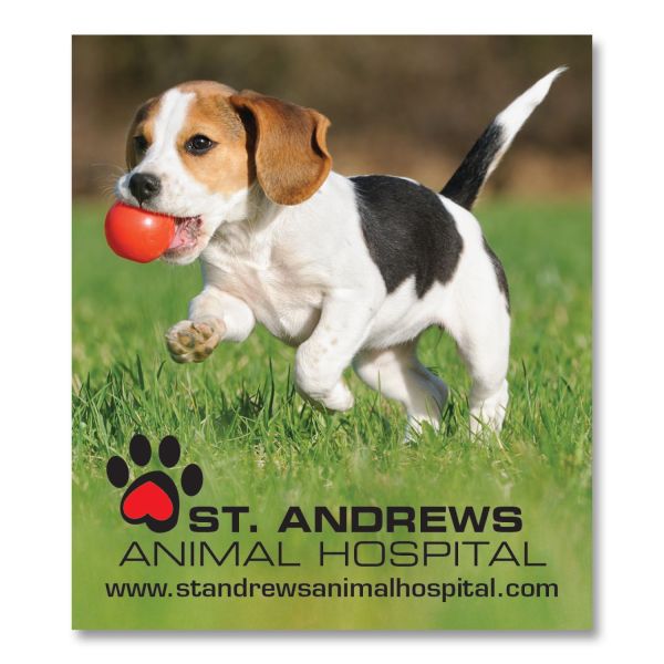 3.5" x 4" Personalized Fridge Magnet