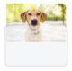 3.5x5 Magnetic Photo Pockets